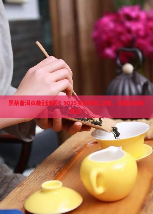 黑茶和普洱茶能减肥吗