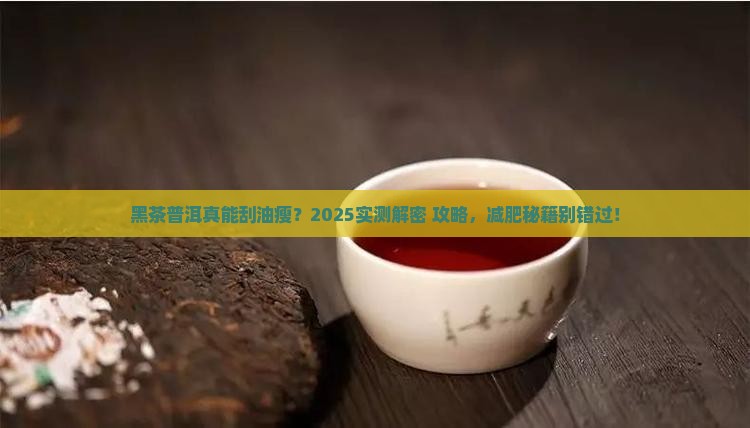 黑茶和普洱茶能减肥吗