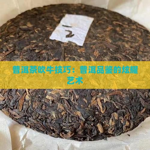 普洱茶吹牛技巧
