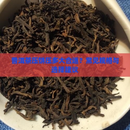 普洱茶压饼压多大合适