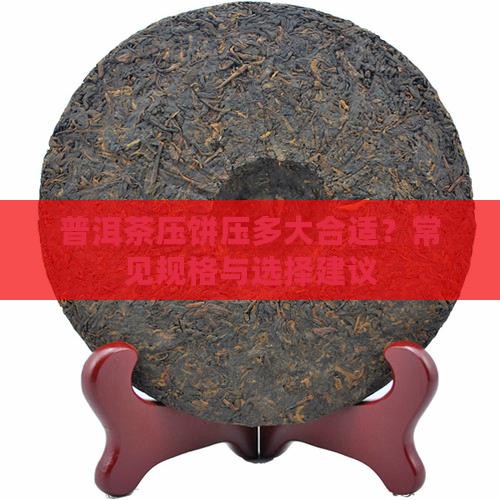 普洱茶压饼压多大合适