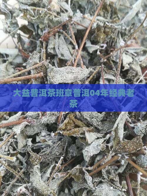 普洱茶大益04年茶