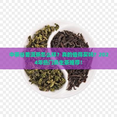 中茶谷普洱茶怎么样