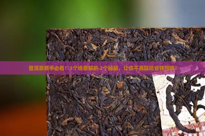普洱茶的四酸五香