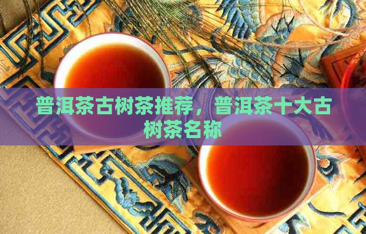 普洱茶古树茶推荐