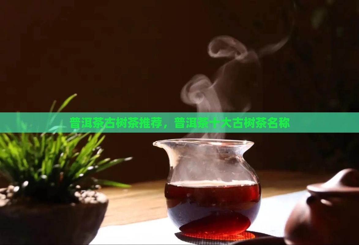 普洱茶古树茶推荐