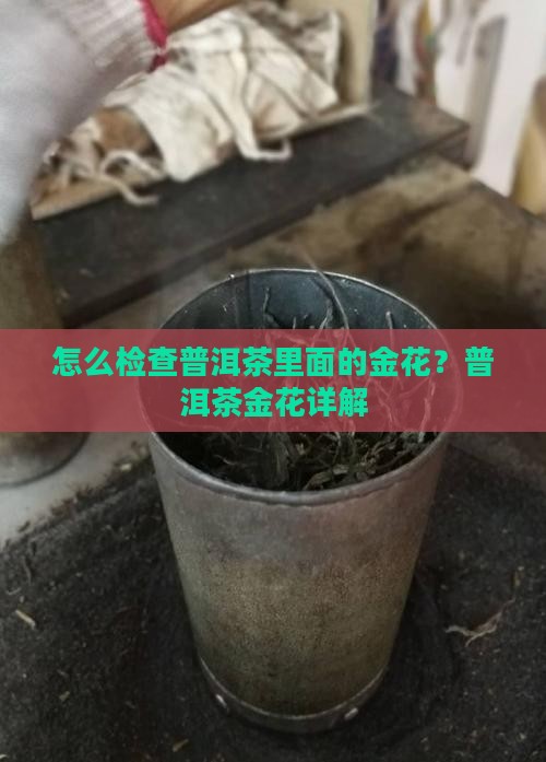 普洱茶里面的金星怎么检查