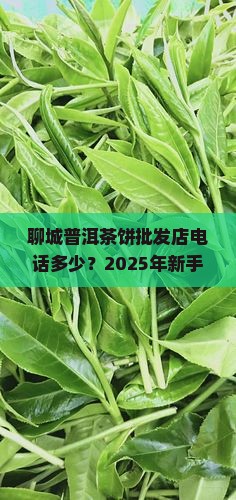 聊城普洱茶饼批发商店电话