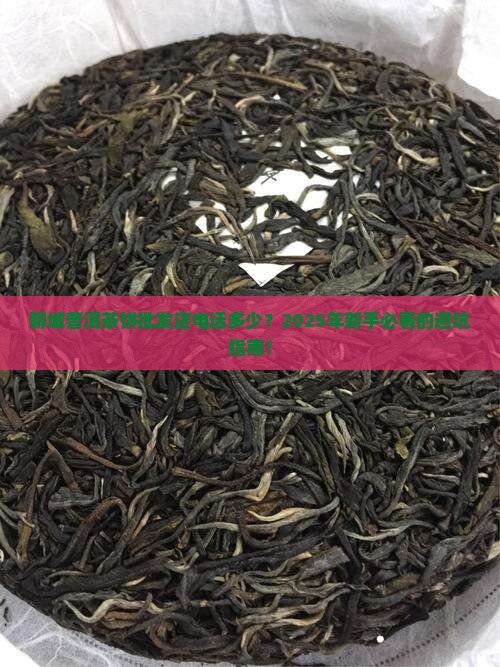 聊城普洱茶饼批发商店电话