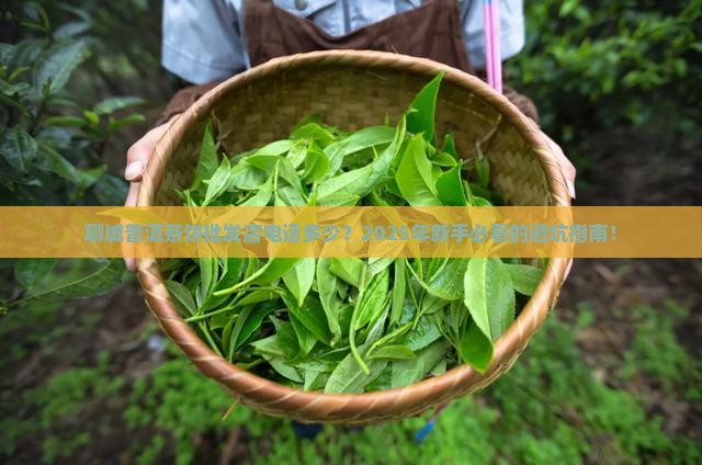 聊城普洱茶饼批发商店电话