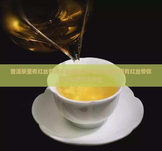 普洱茶里有红丝带