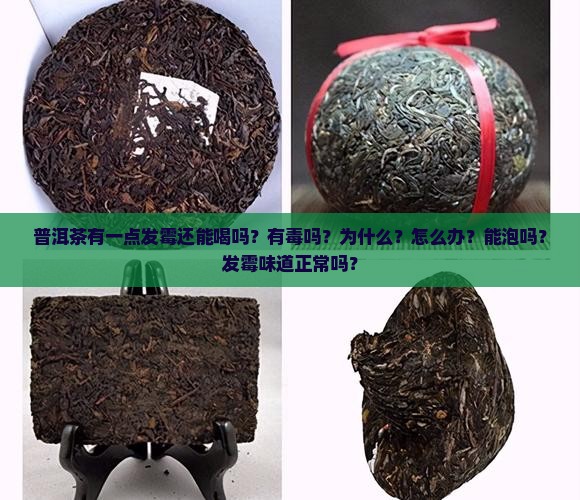 普洱茶有一点发霉还能喝吗