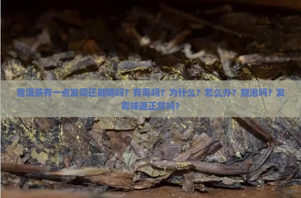 普洱茶有一点发霉还能喝吗