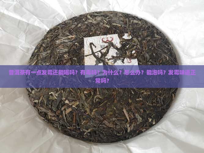 普洱茶有一点发霉还能喝吗