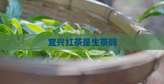 宜兴红茶是生茶吗