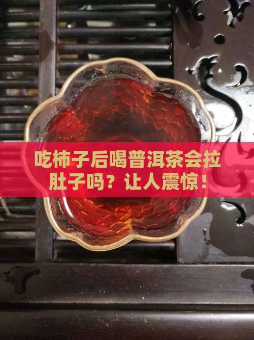 吃柿子后喝普洱茶