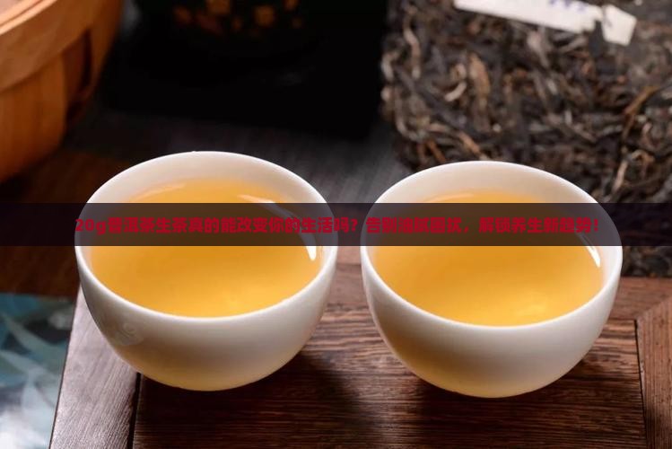 20g普洱茶生茶