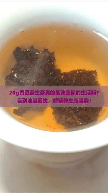 20g普洱茶生茶