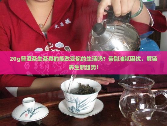 20g普洱茶生茶