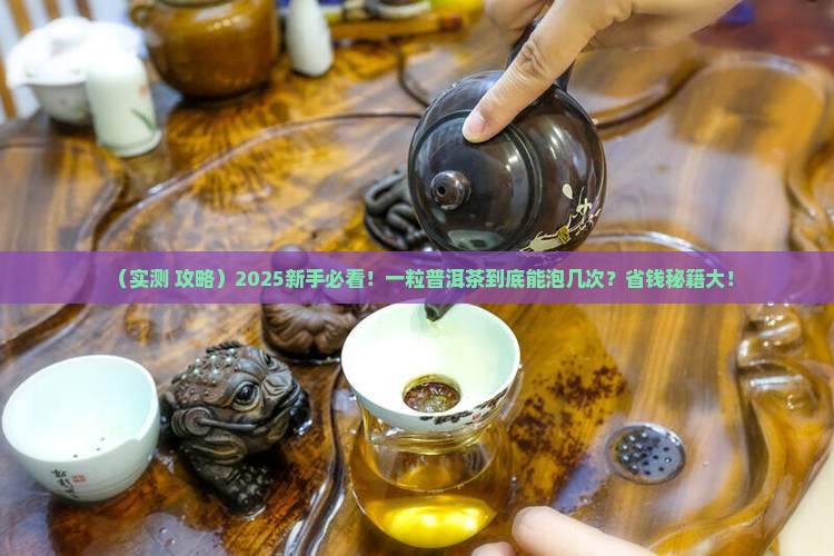 一粒一普洱茶能泡几次