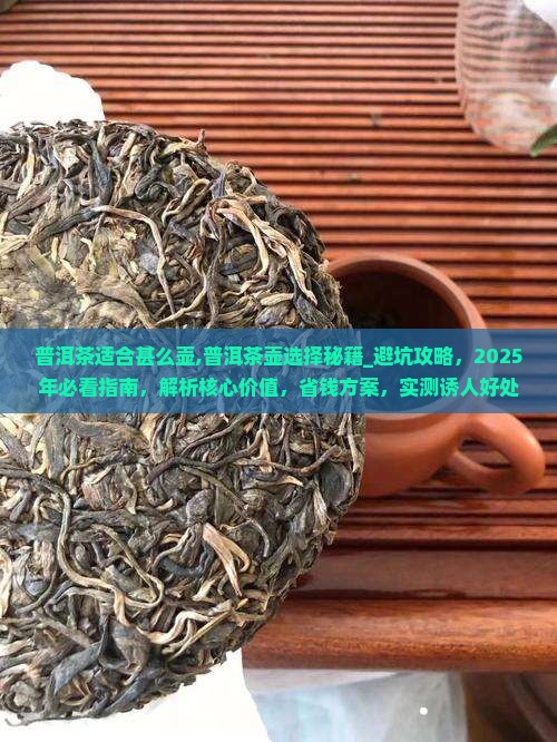 普洱茶适合甚么壶