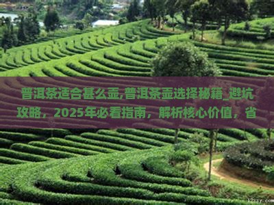 普洱茶适合甚么壶