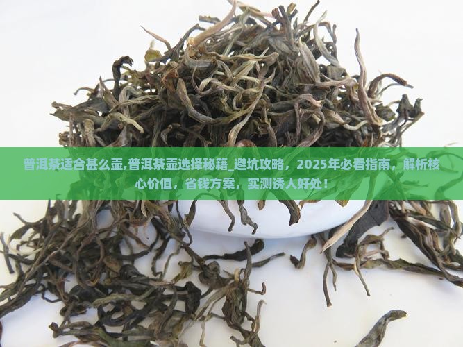 普洱茶适合甚么壶