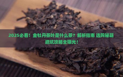 金牡丹茶叶是什么茶