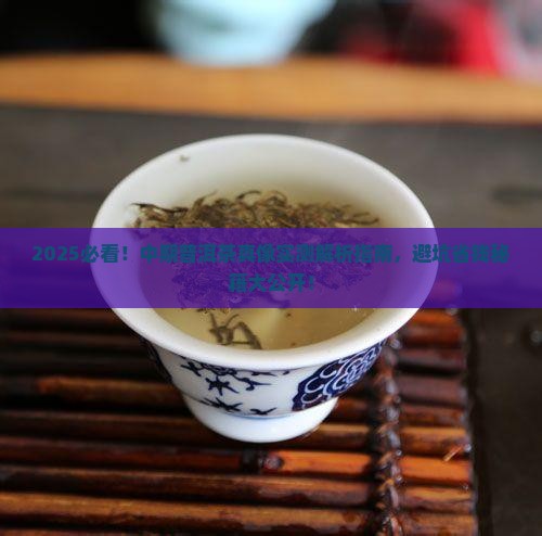 中期普洱茶哪种好