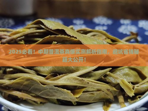 中期普洱茶哪种好