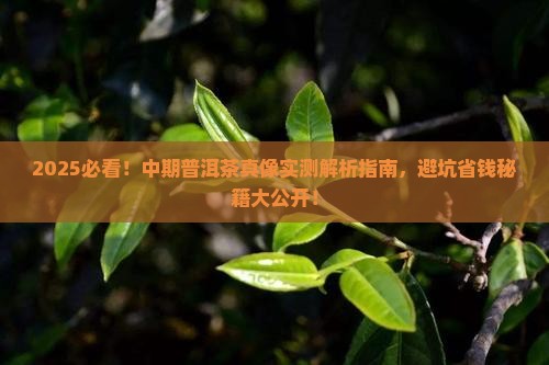 中期普洱茶哪种好