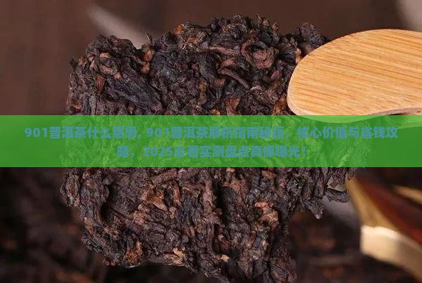 901普洱茶什么意思
