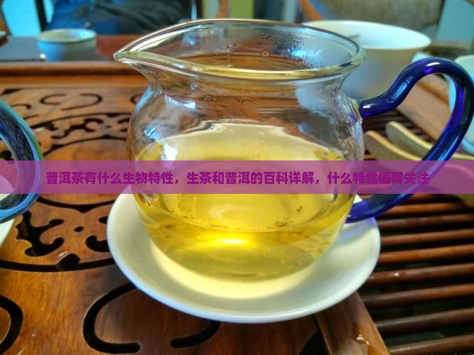 普洱茶有什么生物特性