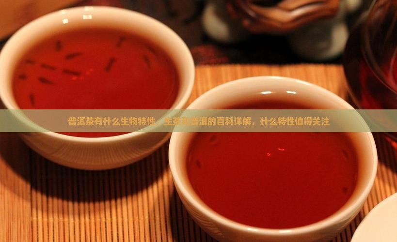 普洱茶有什么生物特性