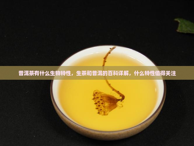 普洱茶有什么生物特性