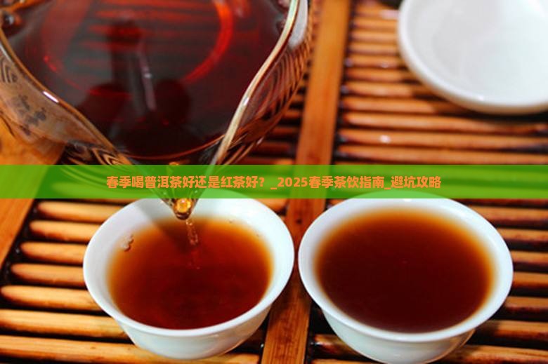 春季喝普洱茶好还是红茶好