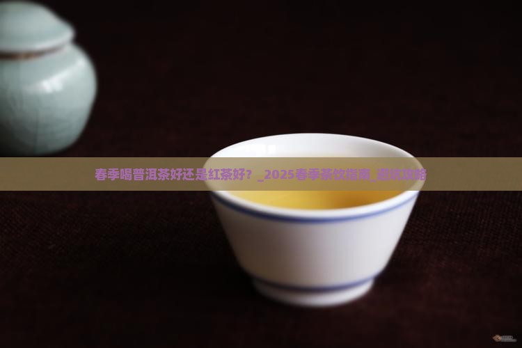 春季喝普洱茶好还是红茶好