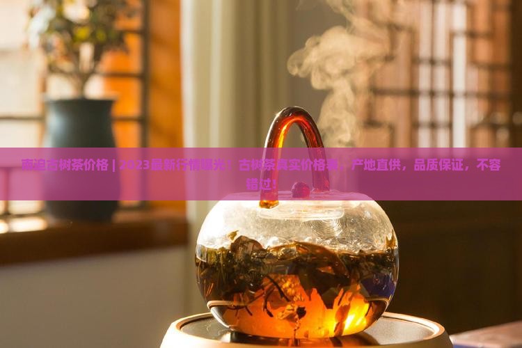 南迫古树茶价格