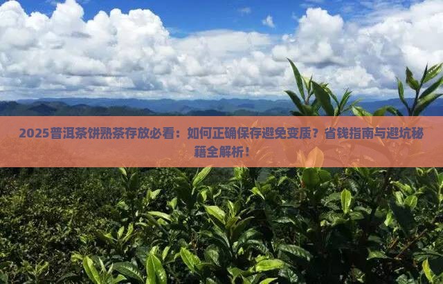 普洱茶饼熟茶怎么存放