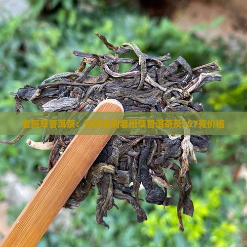 老班章普洱茶编号