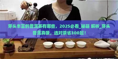 芽头丰富的普洱茶有哪些