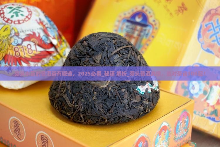 芽头丰富的普洱茶有哪些