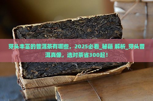 芽头丰富的普洱茶有哪些