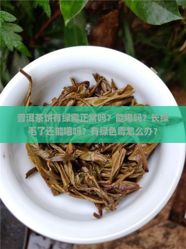 普洱茶饼有绿霉