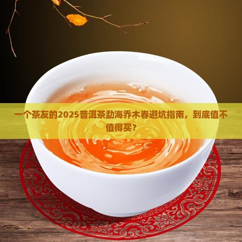 普洱茶勐海乔木春