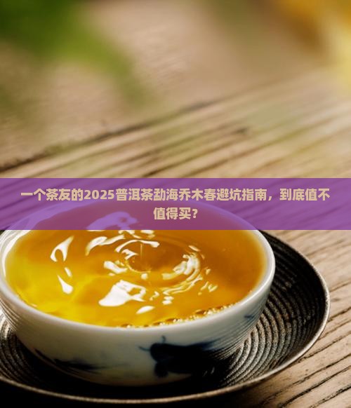 普洱茶勐海乔木春
