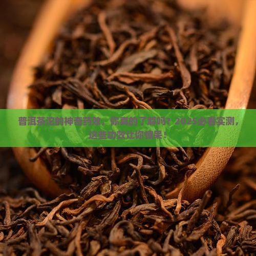普洱茶沱的药效