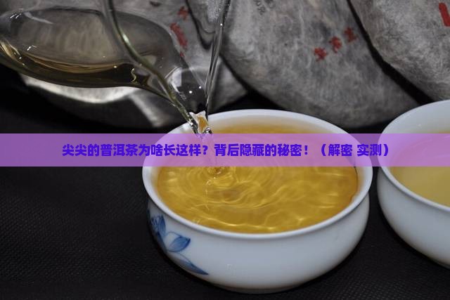 尖尖形状的普洱茶什么原因