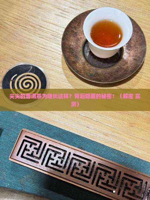 尖尖形状的普洱茶什么原因