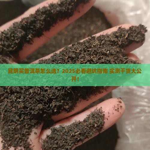 在昆明如何选购普洱茶